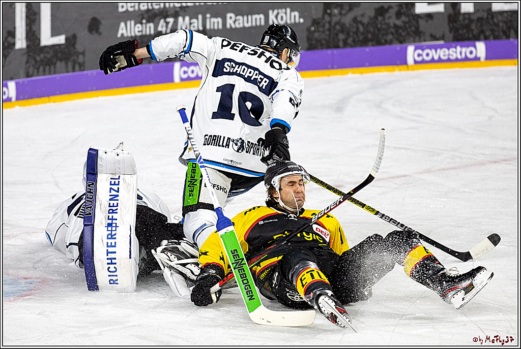 DEL;  Koelner Haie - Straubing Tigers; Koeln, 01.03.2020